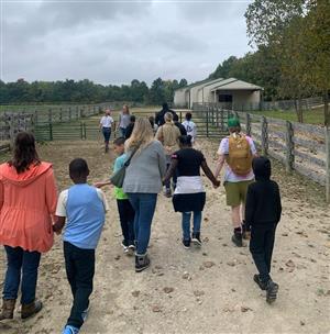 PBJ Farm